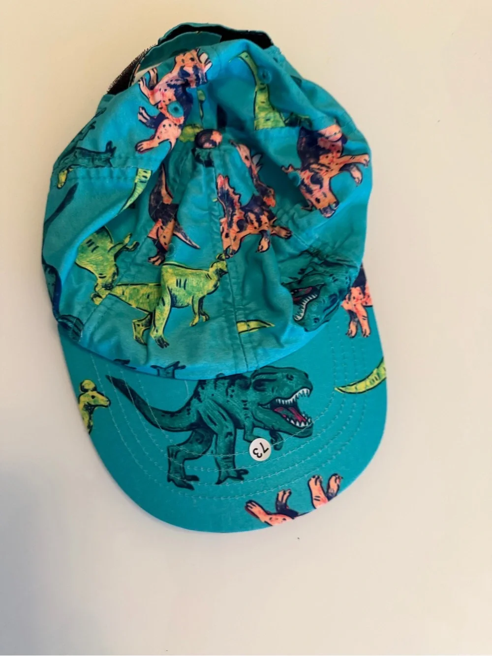 Bright Teal Dinosaur Kids Cap - Brand Unspecified 12/24